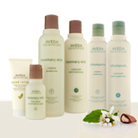 רוזמרין MINT & Shampure - AVEDA